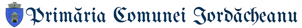 Logo Iordacheanu